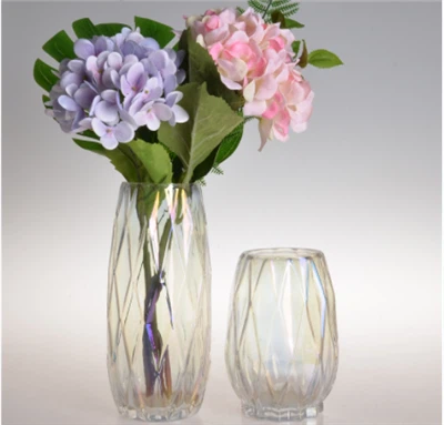 Renkli Basit Cam Vazolar